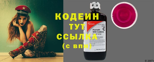 метадон Богданович