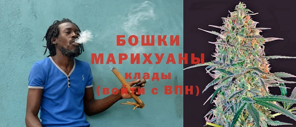 гидра Бронницы
